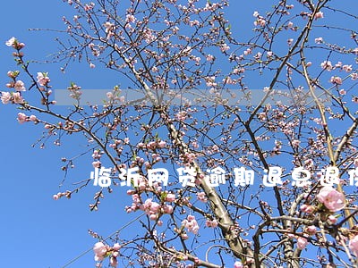 临沂网贷逾期退息退保二次分期 临沂网贷逾期退息退保二次分期