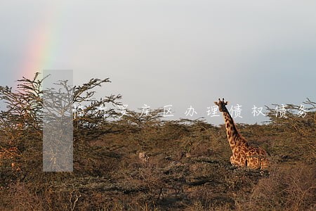 临沂罗庄区办理债权债务律师 临沂罗庄区办理债权债务律师