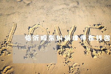 临沂股东纠纷律师在线咨询 临沂股东纠纷律师在线咨询