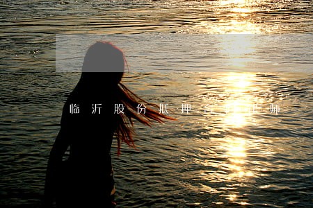 临沂股份抵押合同律师 临沂股份抵押合同律师