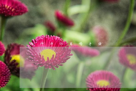 临沂诉讼离婚手续 临沂诉讼离婚手续