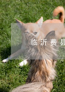 临沂费县有经验的刑事律师 临沂费县有经验的刑事律师
