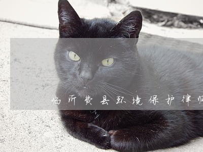 临沂费县环境保护律师在线咨询 临沂费县环境保护律师在线咨询