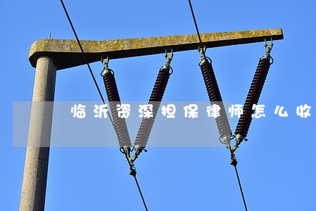 临沂资深担保律师怎么收费 临沂资深担保律师怎么收费