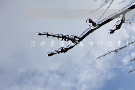临沂资深赔偿律师收费标准 临沂资深赔偿律师收费标准
