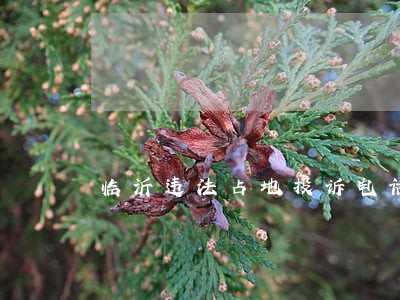 临沂违法占地投诉电话 临沂违法占地投诉电话