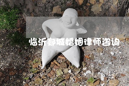 临沂郯城婚姻律师咨询 临沂郯城婚姻律师咨询