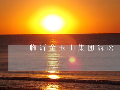 临沂金玉山集团诉讼 临沂金玉山集团诉讼