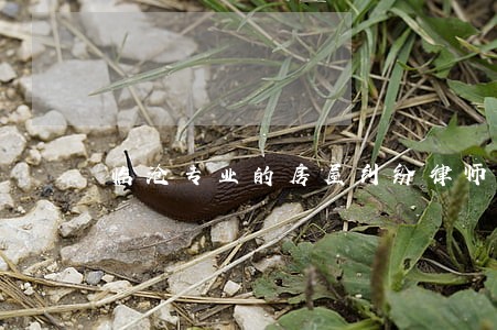 临沧专业的房屋纠纷律师 临沧专业的房屋纠纷律师