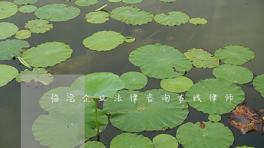 临沧企业法律咨询在线律师
