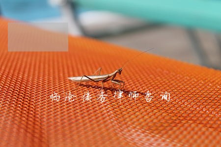 临沧债务律师咨询 临沧债务律师咨询