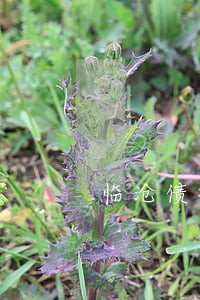 临沧债权债务纠纷律师免费咨询 临沧债权债务纠纷律师免费咨询