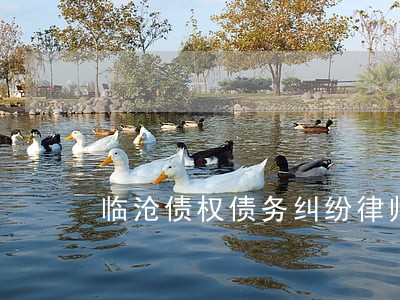 临沧债权债务纠纷律师推荐 临沧债权债务纠纷律师推荐