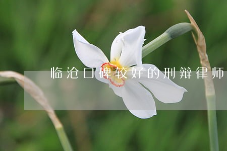 临沧口碑较好的刑辩律师首页推荐 临沧口碑较好的刑辩律师首页推荐