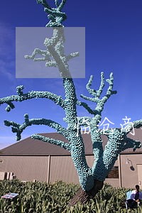 临沧商标法律师在线咨询