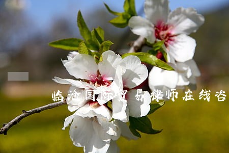 临沧国际贸易律师在线咨询 临沧国际贸易律师在线咨询