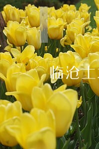 临沧土地合同纠纷律师 临沧土地合同纠纷律师