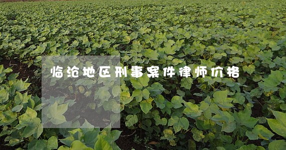 临沧地区刑事案件律师价格 临沧地区刑事案件律师价格
