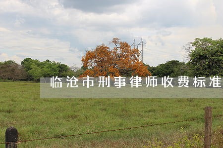 临沧市刑事律师收费标准 临沧市刑事律师收费标准