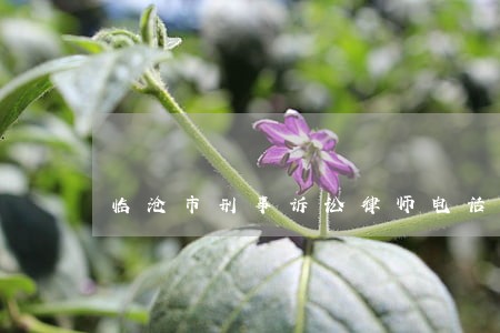 临沧市刑事诉讼律师电话微信 临沧市刑事诉讼律师电话微信