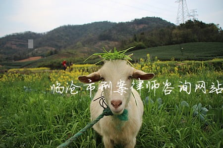 临沧市刑案律师咨询网站