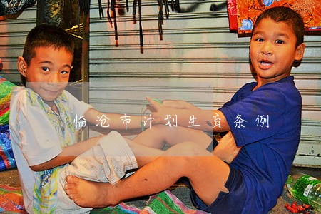 临沧市计划生育条例 临沧市计划生育条例