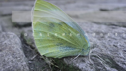 临沧有没有债务纠纷律师免费咨询 临沧有没有债务纠纷律师免费咨询