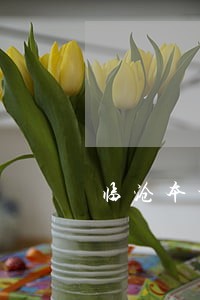 临沧本地刑事律师所团队 临沧本地刑事律师所团队