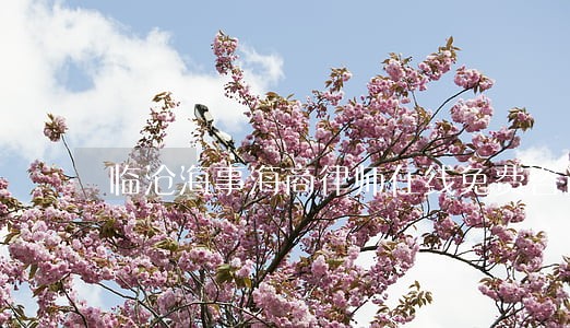 临沧海事海商律师在线免费咨询 临沧海事海商律师在线免费咨询