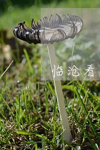 临沧看守所律师联系方式 临沧看守所律师联系方式