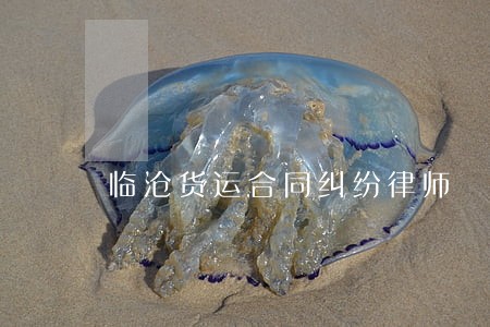 临沧货运合同纠纷律师 临沧货运合同纠纷律师
