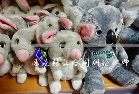 临沧转让合同纠纷律师 临沧转让合同纠纷律师
