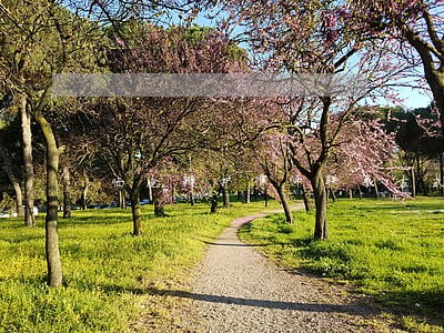 临沧辩护律师联系方式 临沧辩护律师联系方式