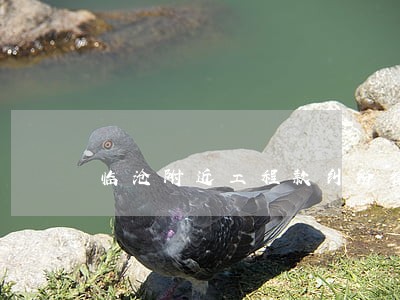 临沧附近工程款纠纷律师电话咨询 临沧附近工程款纠纷律师电话咨询