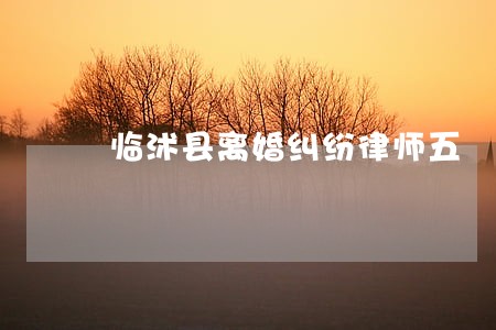 临沭县离婚纠纷律师五