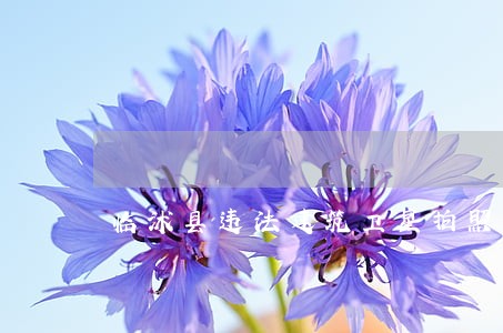 临沭县违法建筑卫星拍照 临沭县违法建筑卫星拍照