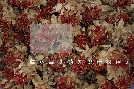 临沭店头镇知识产权律师