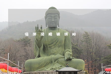 临沭法院禚洪阳 临沭法院禚洪阳