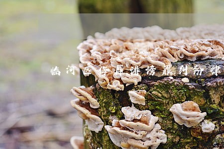 临河区侮辱诽谤罪纠纷律师 临河区侮辱诽谤罪纠纷律师