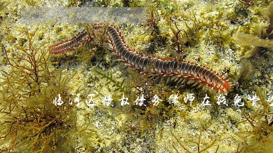 临河区债权债务律师在线免费咨询 临河区债权债务律师在线免费咨询
