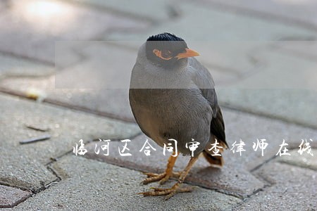 临河区合同审查律师在线免费咨询 临河区合同审查律师在线免费咨询