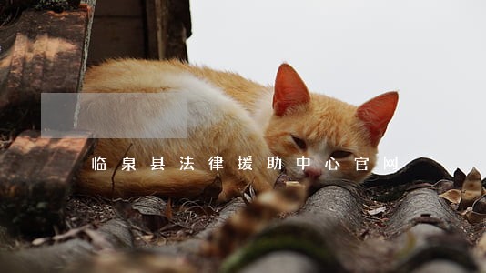 临泉县法律援助中心官网 临泉县法律援助中心官网
