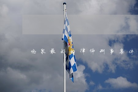 临泉最好的律师刑事案件 临泉最好的律师刑事案件