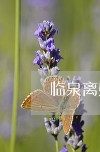 临泉离婚律师排名 临泉离婚律师排名