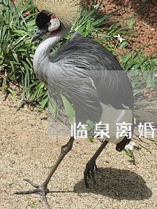 临泉离婚继承律师在线 临泉离婚继承律师在线