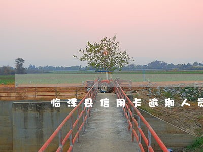 临泽县信用卡逾期人员 临泽县信用卡逾期人员