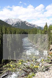 临泽县贾正忠工商银行信用卡逾期