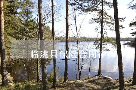 临洮县保险合同律师 临洮县保险合同律师