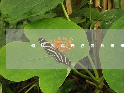 临洮县委托合同纠纷律师 临洮县委托合同纠纷律师