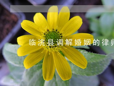 临洮县调解婚姻的律师 临洮县调解婚姻的律师